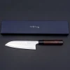 Anryu Knives Aogami #2 Rosewood Santoku