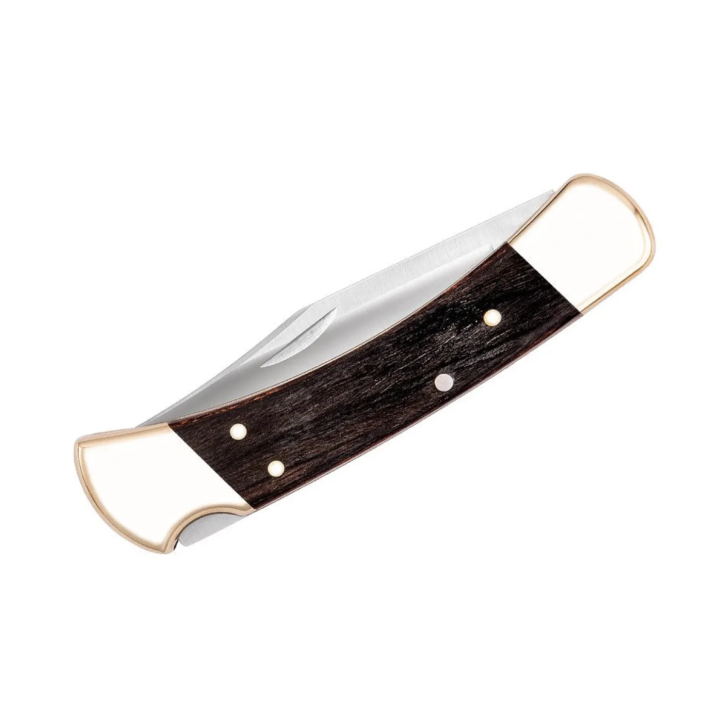 Buck 110 Folding Hunter Zakmes