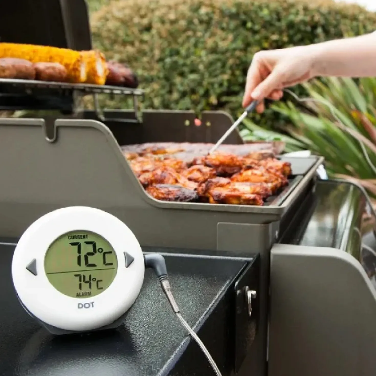 Dot Digitale Oventhermometer