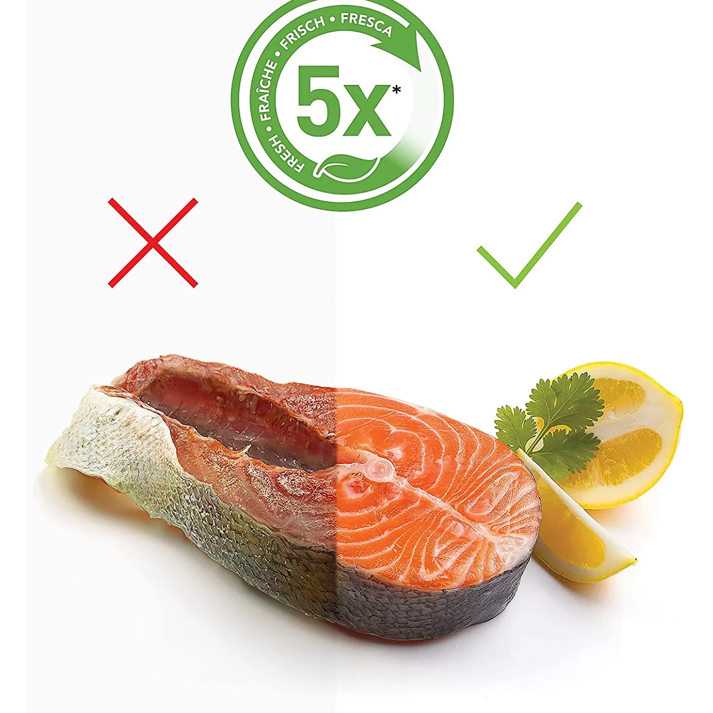Foodsaver Top Line Vacuumsysteem