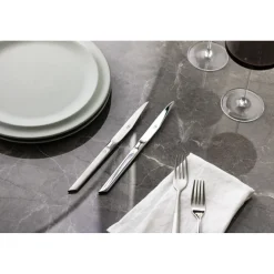 Forge de Laguiole Steakmessen Dayat Gepolijst (2 stuks)