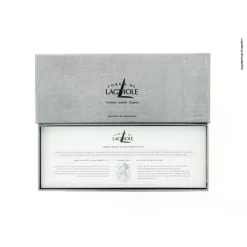 Forge de Laguiole Steakmessen Dayat Gepolijst (2 stuks)