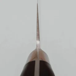 Fujitora DP3 Gyuto 21 cm