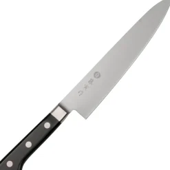 Fujitora DP3 Gyuto 21 cm