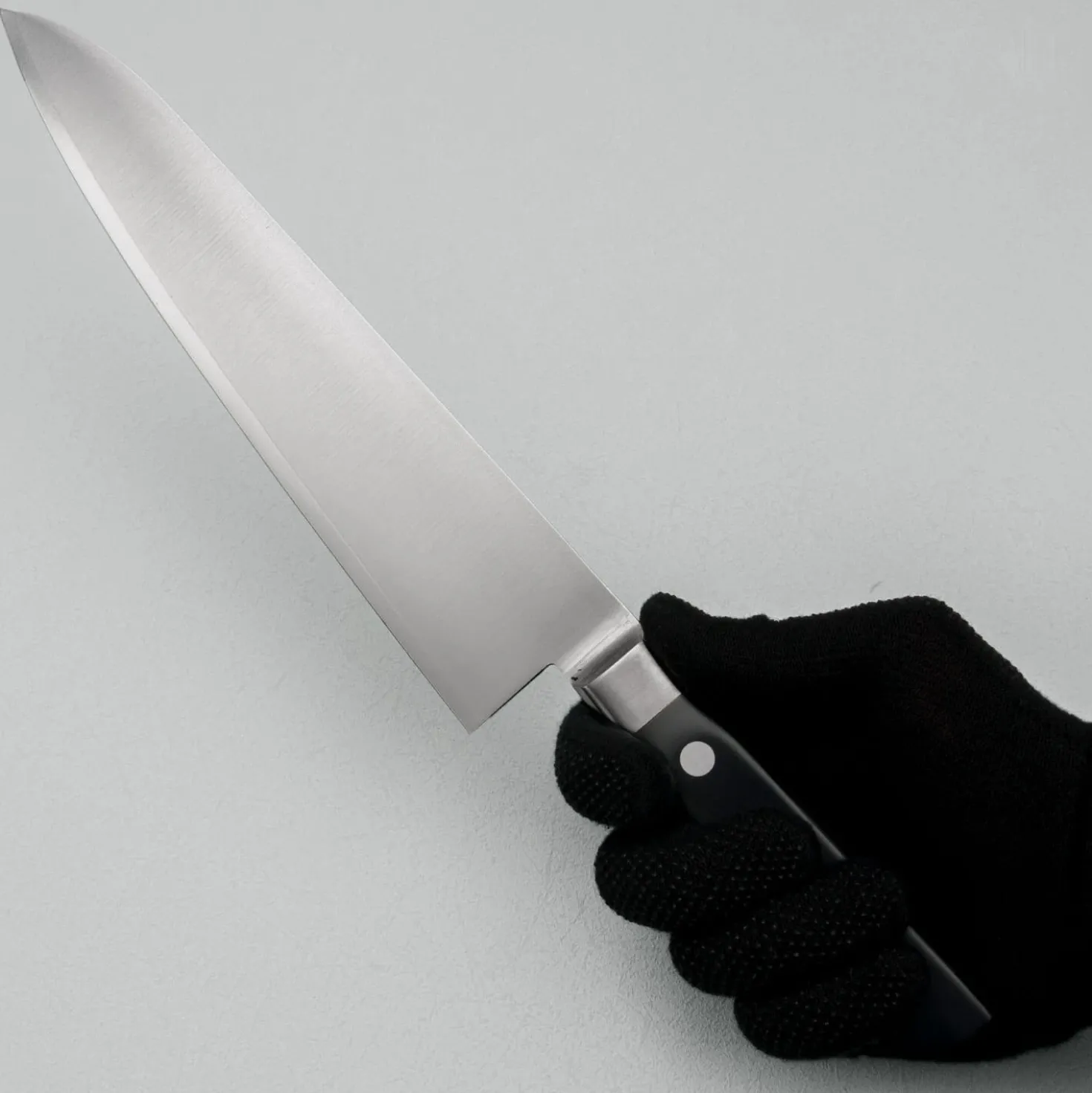 Fujitora DP3 Gyuto 24 cm