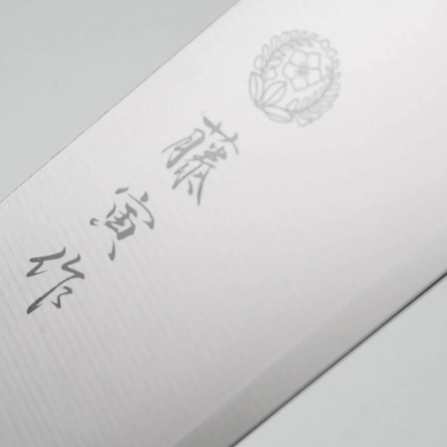 Fujitora DP3 Gyuto 24 cm