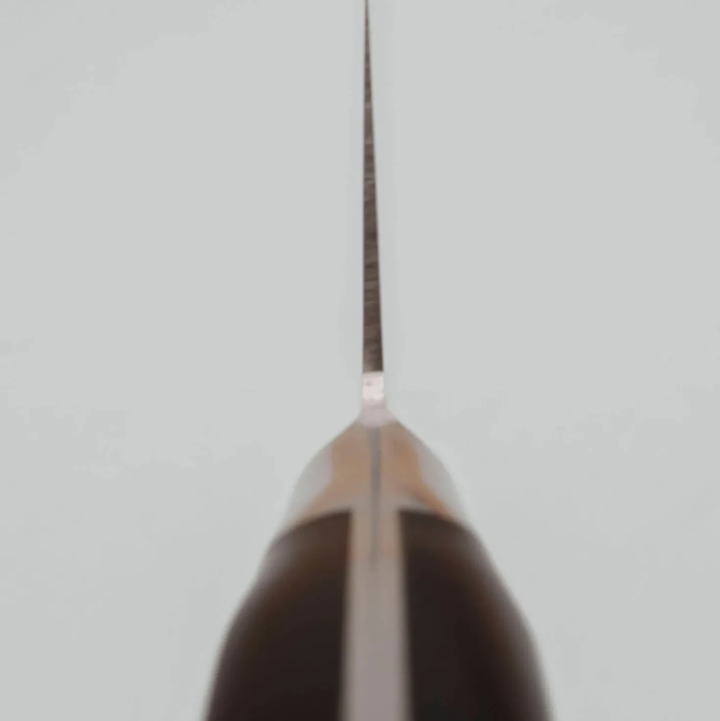 Fujitora DP3 Gyuto 24 cm