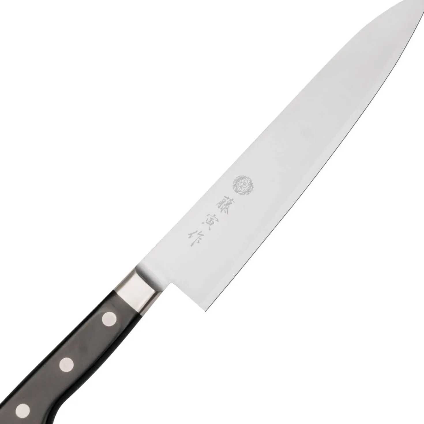 Fujitora DP3 Gyuto 24 cm