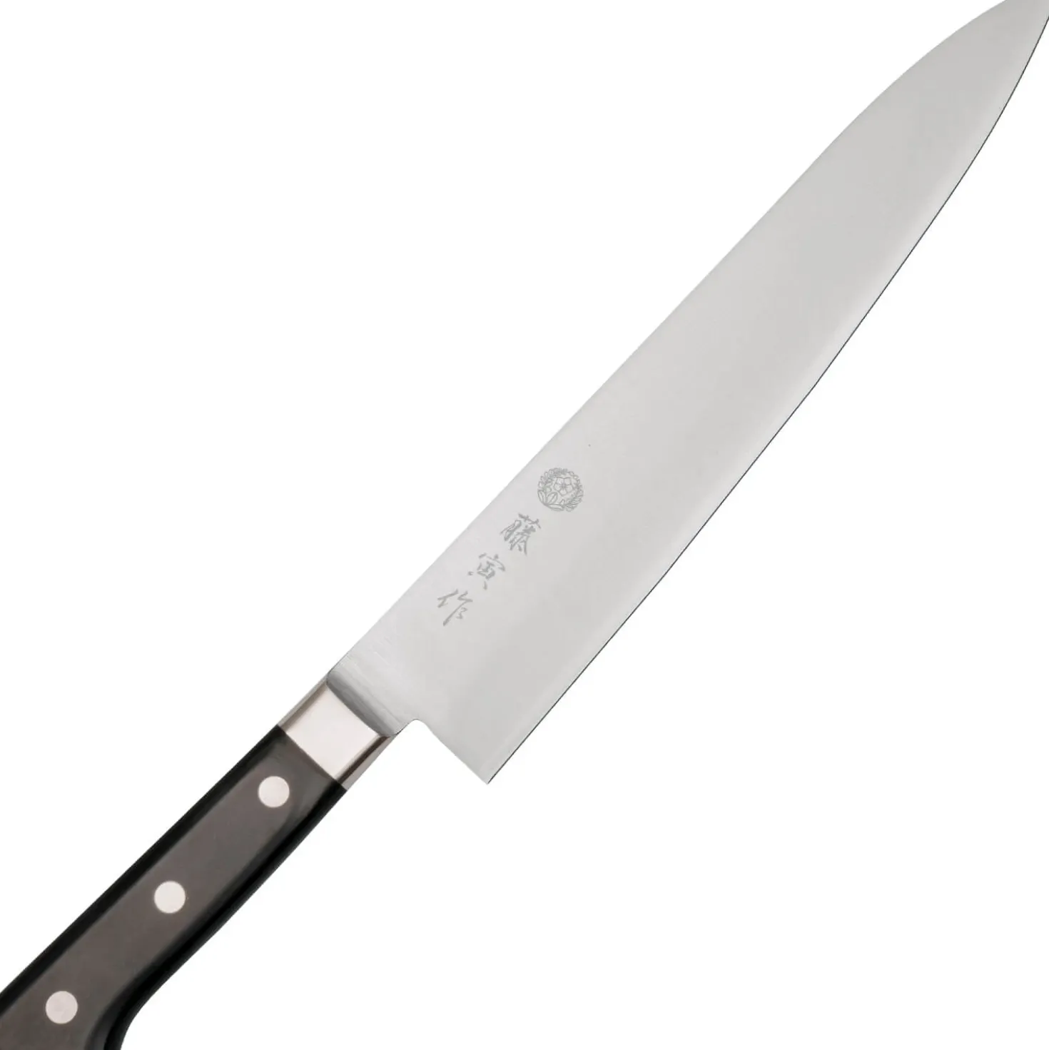 Fujitora DP3 Gyuto 27 cm