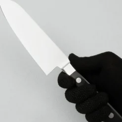 Fujitora DP3 Santoku 17 cm