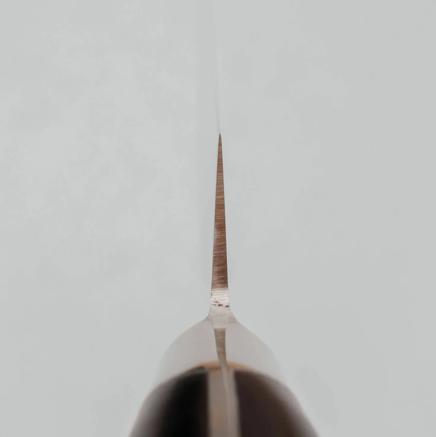 Fujitora DP3 Sujihiki 24 cm