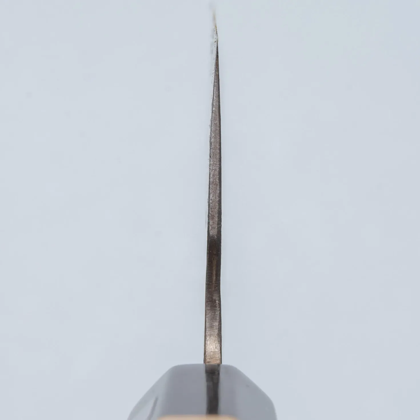 Fujiwara Denka Wa Nakiri 16.5 cm