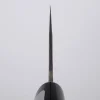 Fujiwara Nashiji #1 Gyuto 210