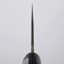 Fujiwara Nashiji #1 Gyuto 210
