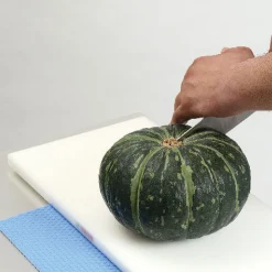 Hasegawa's Anti-Slipmatje Zwart 30 x 20 cm
