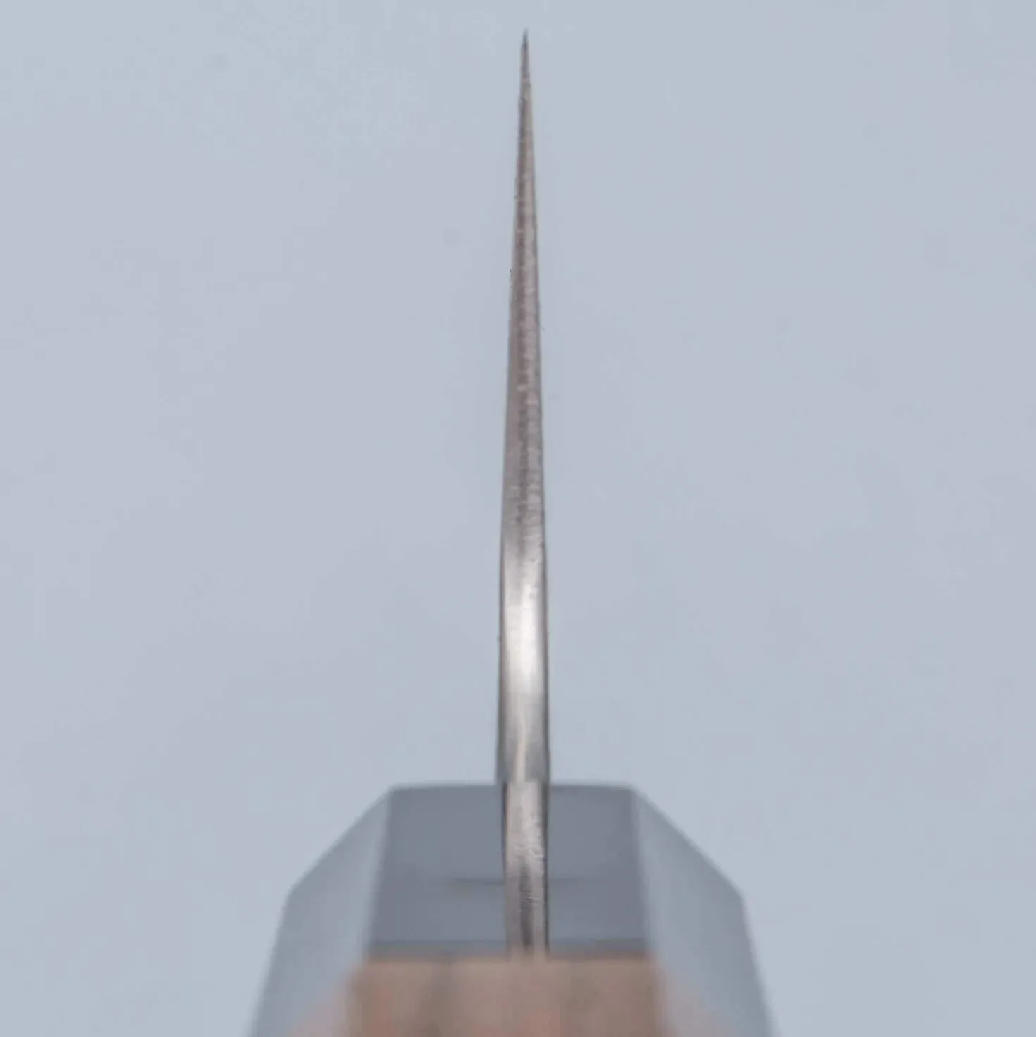 Hatsukokoro Aogami #2 Damascus Kurouchi Gyuto 21 cm
