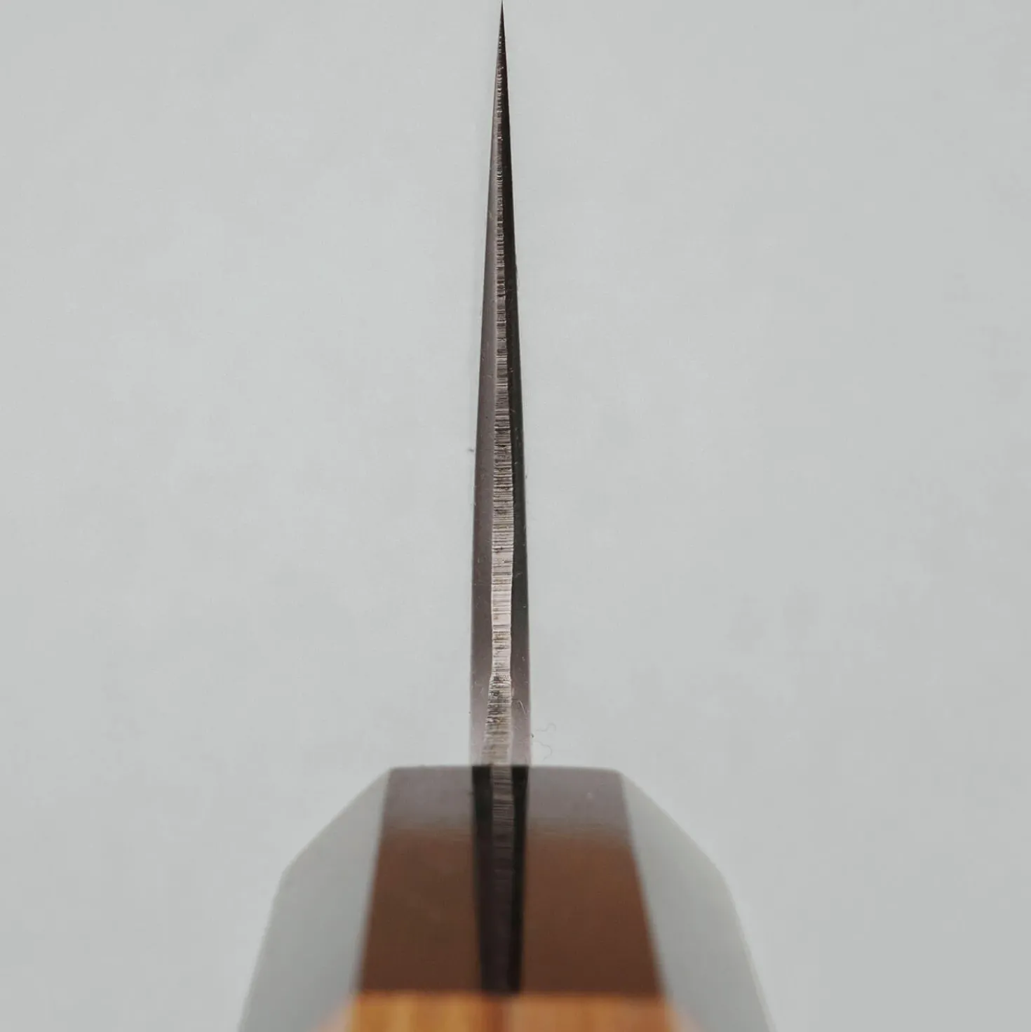 Hatsukokoro Aogami #2 Kasumi Gyuto 21 cm