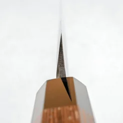 Hatsukokoro Aogami 2 Kurouchi Tsuchime Yanagiba 27 cm