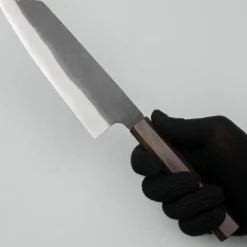 Hatsukokoro Aokitae Aogami #2 Bunka 20 cm