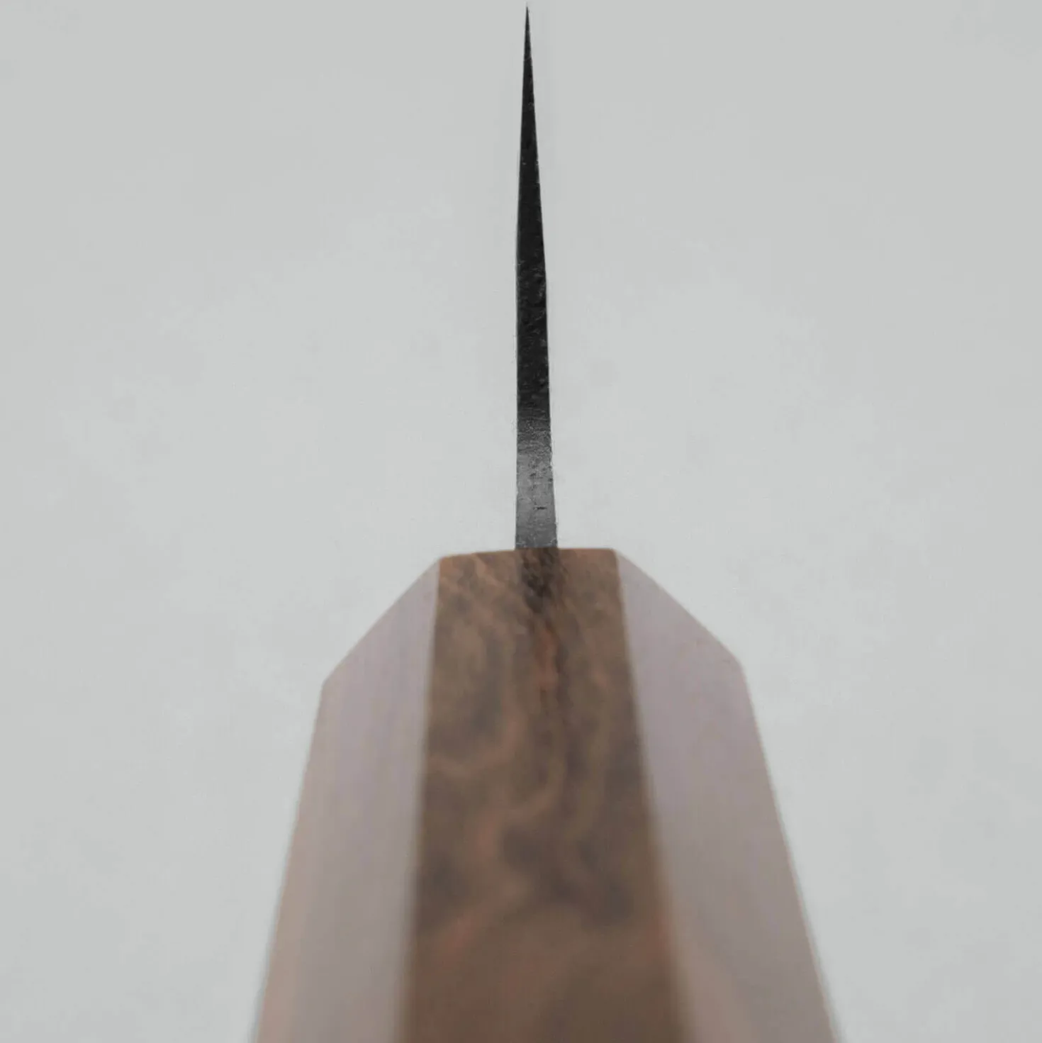 Hatsukokoro Aokitae Aogami #2 Gyuto 22 cm