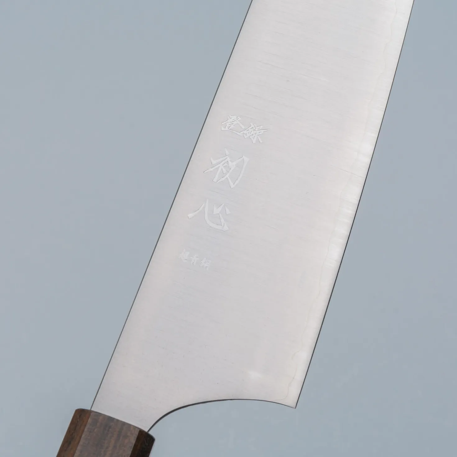 Hatsukokoro Hayabusa Aogami Super Gyuto 24 cm