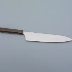 Hatsukokoro Hayabusa Aogami Super Gyuto 24 cm