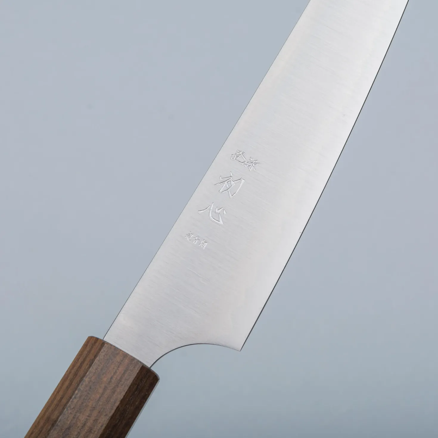 Hatsukokoro Hayabusa Aogami Super Petty 15 cm