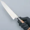 Hatsukokoro Hayabusa Ginsan Kiritsuke 21 cm