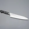 Hatsukokoro Hayabusa Hap40 Damast Gyuto 21 cm