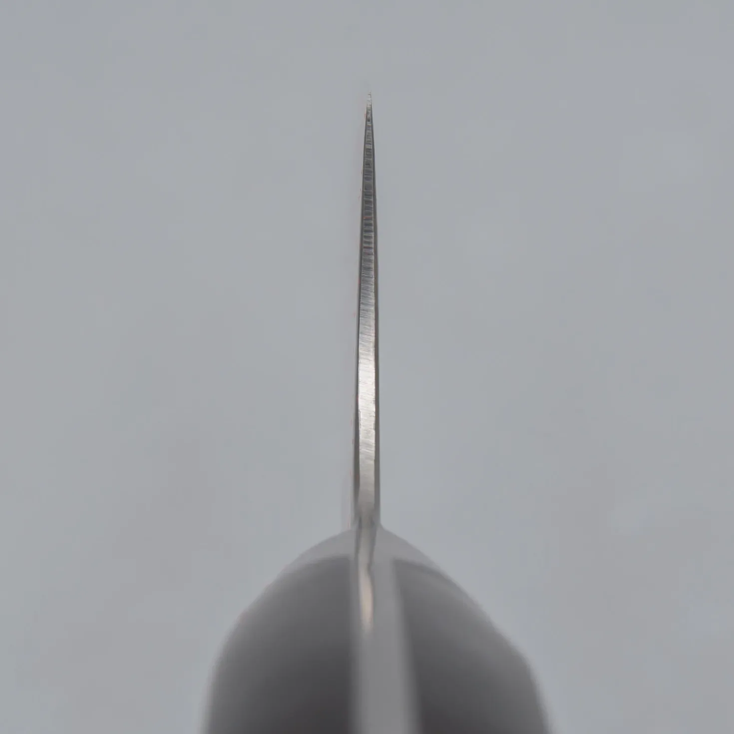 Hatsukokoro Hayabusa Hap40 Damast Gyuto 21 cm