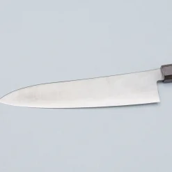 Hatsukokoro Hayabusa SG2 Ebony Gyuto 21 cm