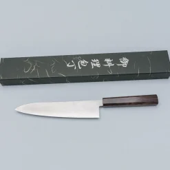 Hatsukokoro Hayabusa SG2 Ebony Gyuto 21 cm