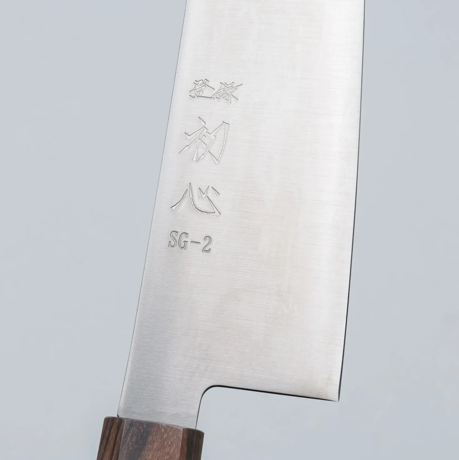 Hatsukokoro Hayabusa SG2 Ebony Gyuto 21 cm