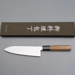 Hatsukokoro Hayabusa SG2 Gyuto 24 cm