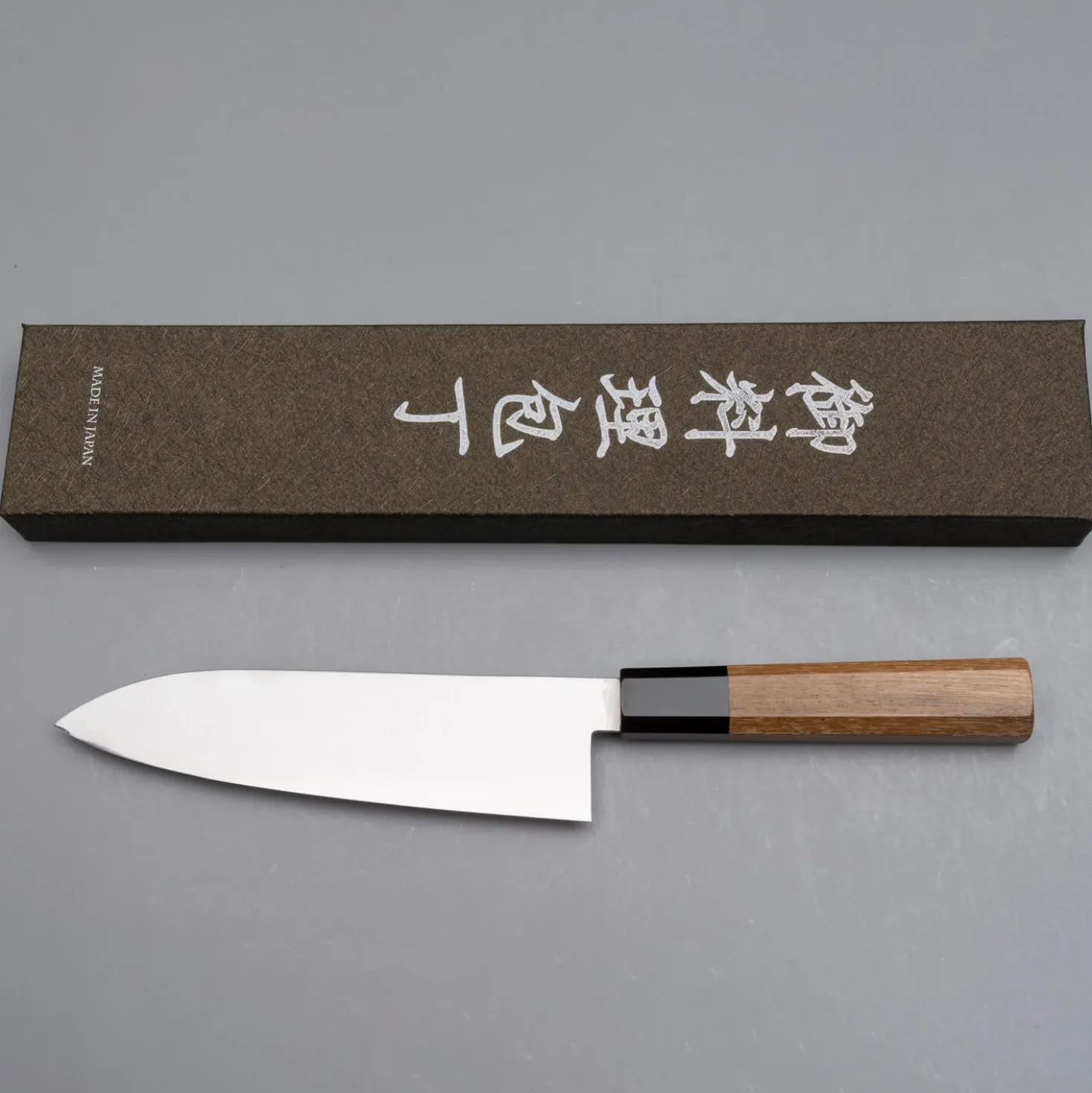 Hatsukokoro Hayabusa SG2 Gyuto 24 cm