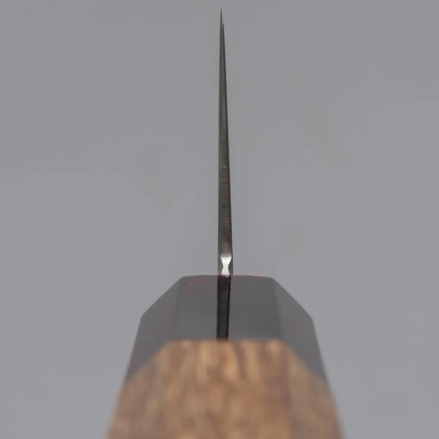 Hatsukokoro Hayabusa SG2 Gyuto 24 cm