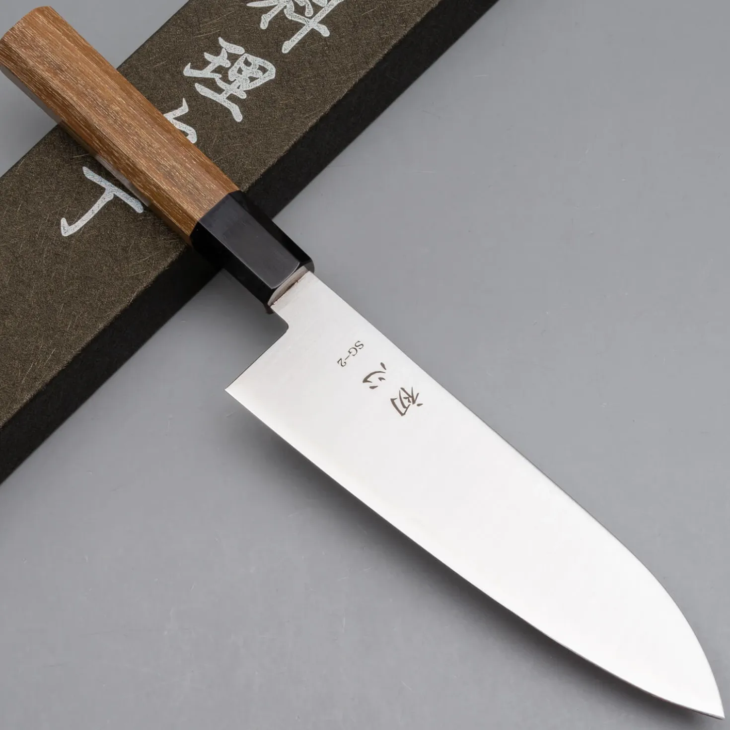 Hatsukokoro Hayabusa SG2 Gyuto 24 cm