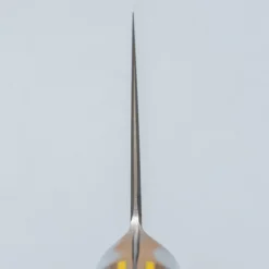 Hatsukokoro Hayabusa SG2 Western Gyuto 24 cm