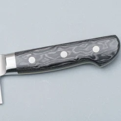 Hatsukokoro Hayabusa SG2 Western Gyuto 24 cm