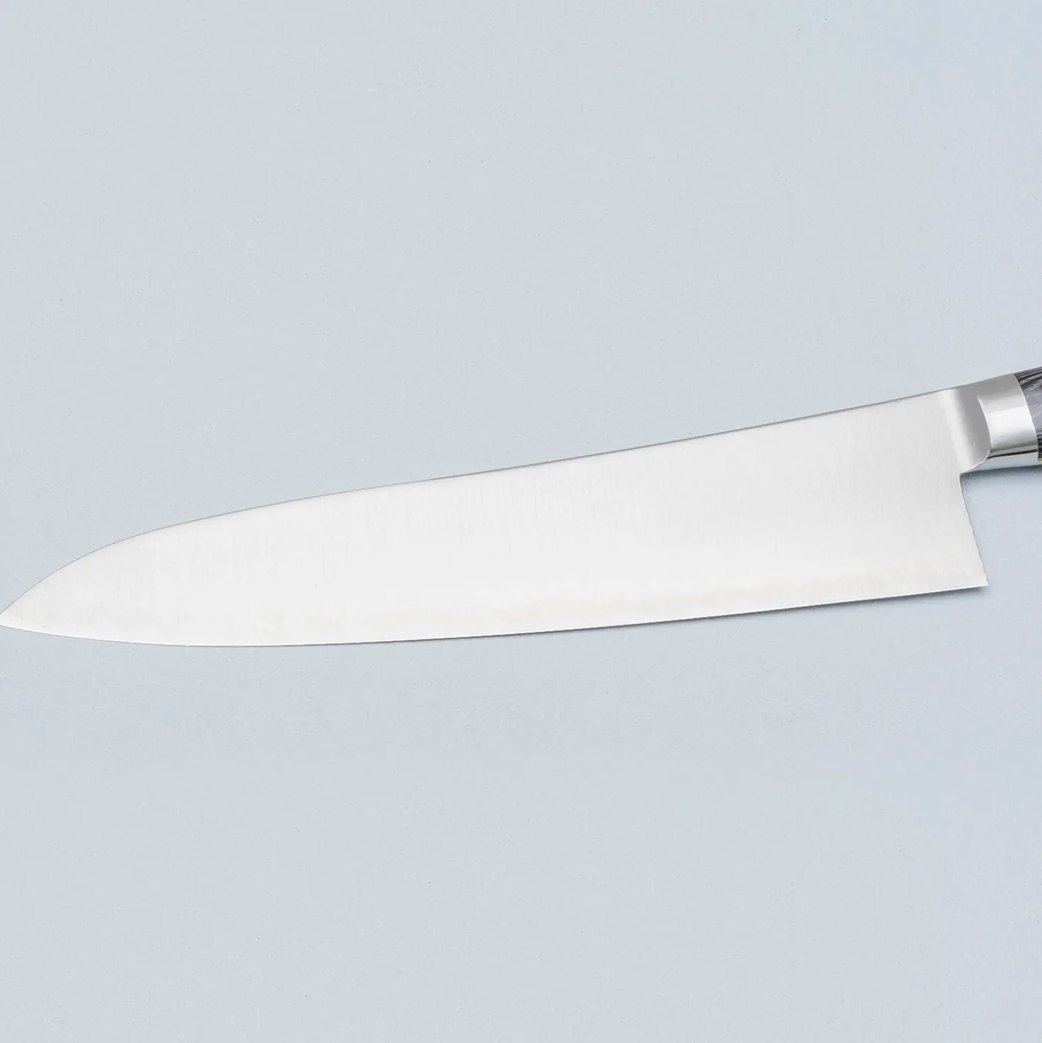 Hatsukokoro Hayabusa SG2 Western Gyuto 24 cm