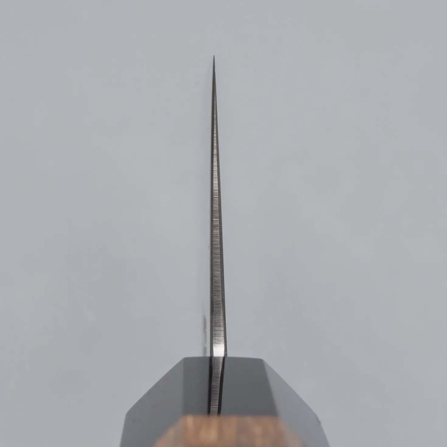 Hatsukokoro Hayabusa ZDP189 Gyuto 24 cm