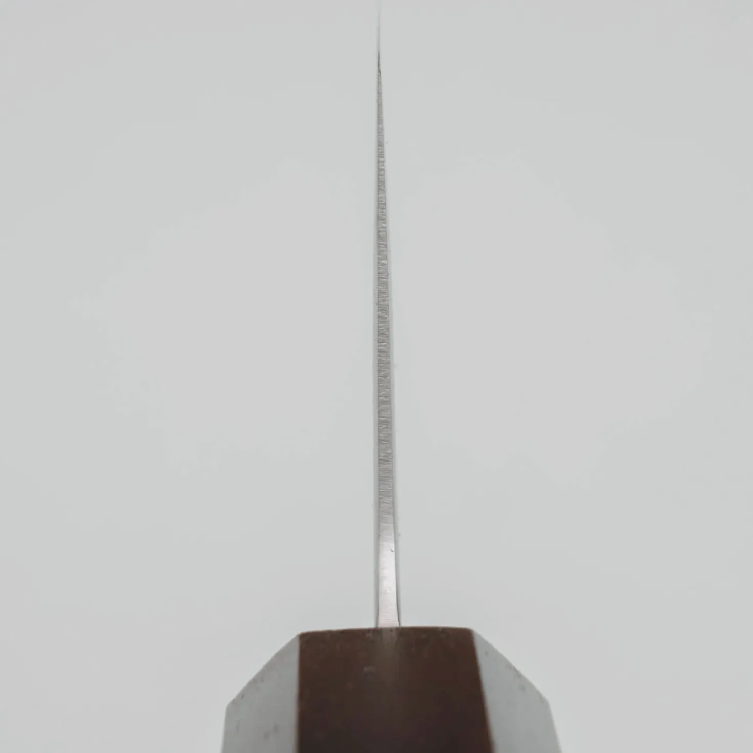 Hatsukokoro Hikari SLD Ebony Gyuto 21 cm
