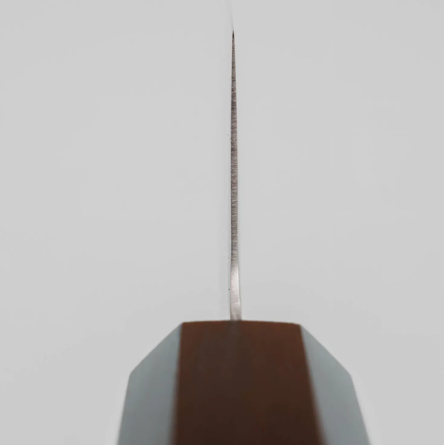 Hatsukokoro Hikari SLD Ebony Kiritsuke 20.5 cm
