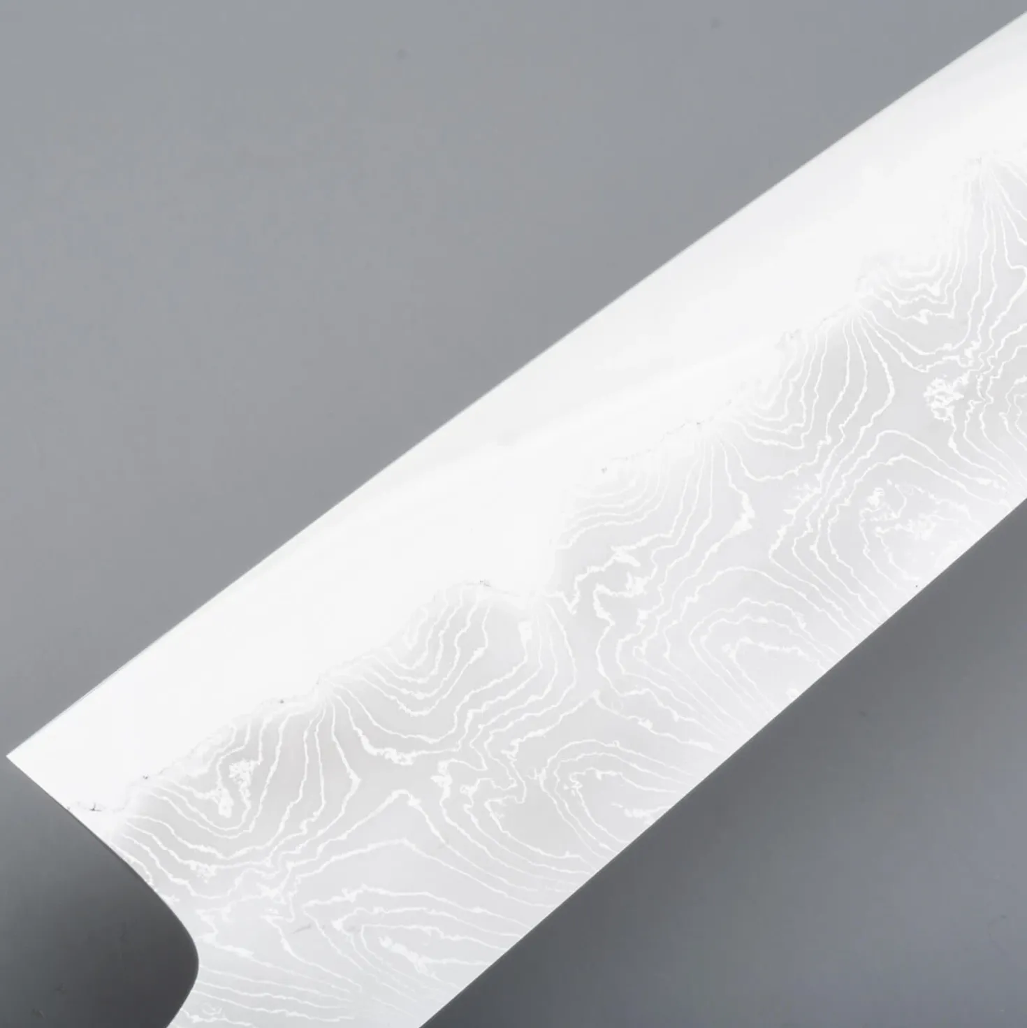 Hatsukokoro Hyomon Shiro #2 Hand Laminated Gyuto 21 cm