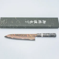 Hatsukokoro Irodori Aogami 2 Rainbow Gyuto 24 cm