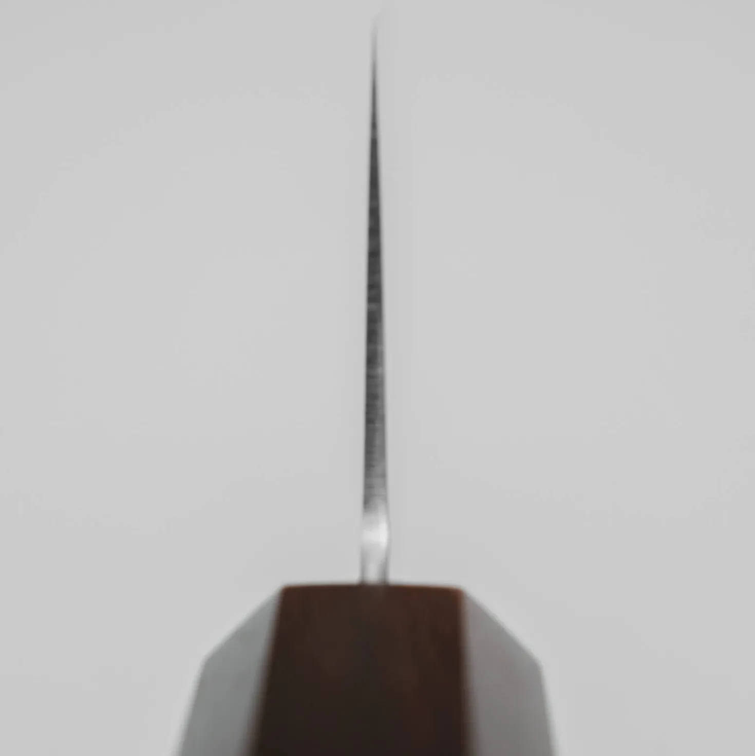 Hatsukokoro Kaijin Aogami #2 Bunka 18 cm