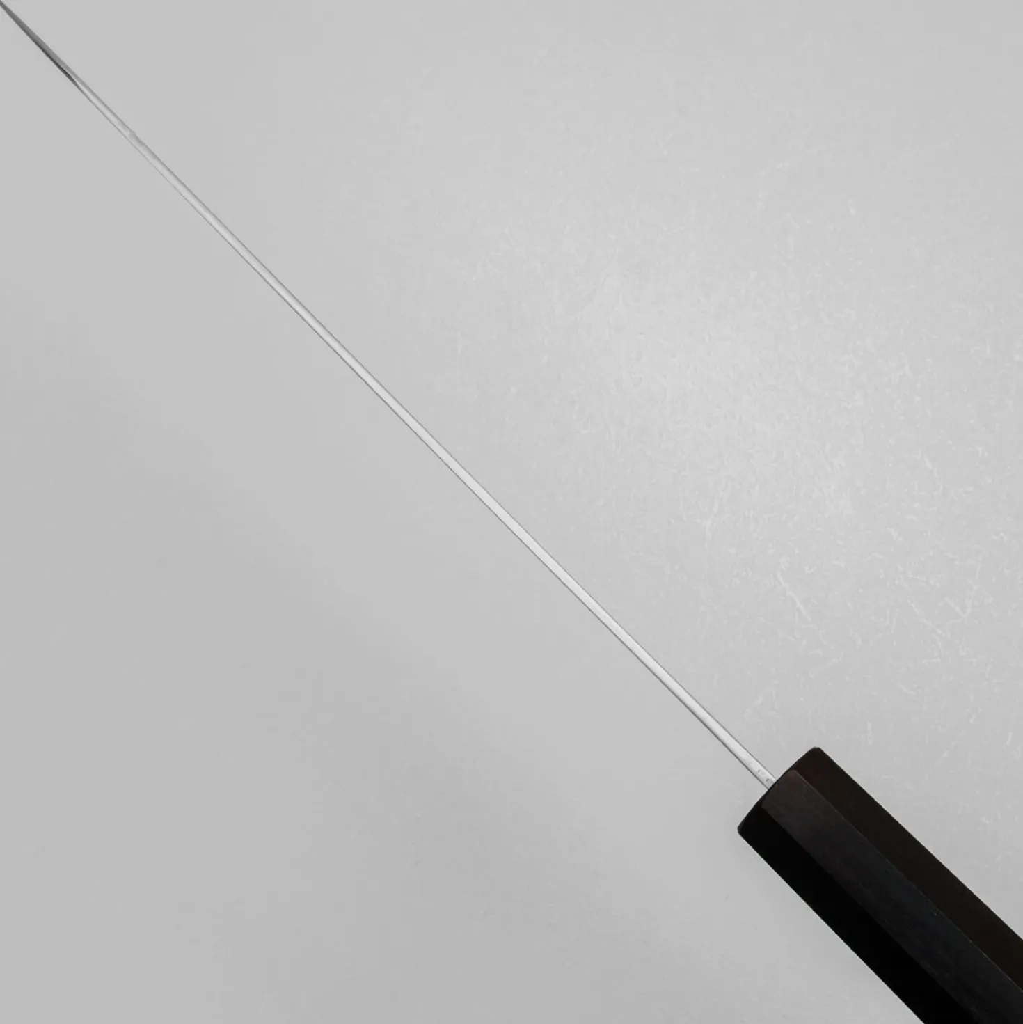 Hatsukokoro Kaijin Aogami #2 Gyuto 24 cm
