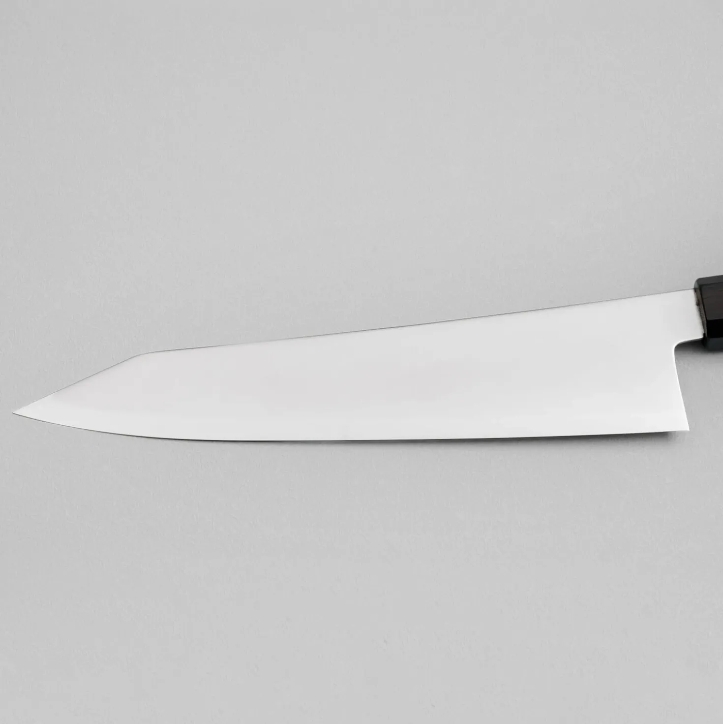 Hatsukokoro Kaijin Aogami #2 Kiritsuke 21 cm