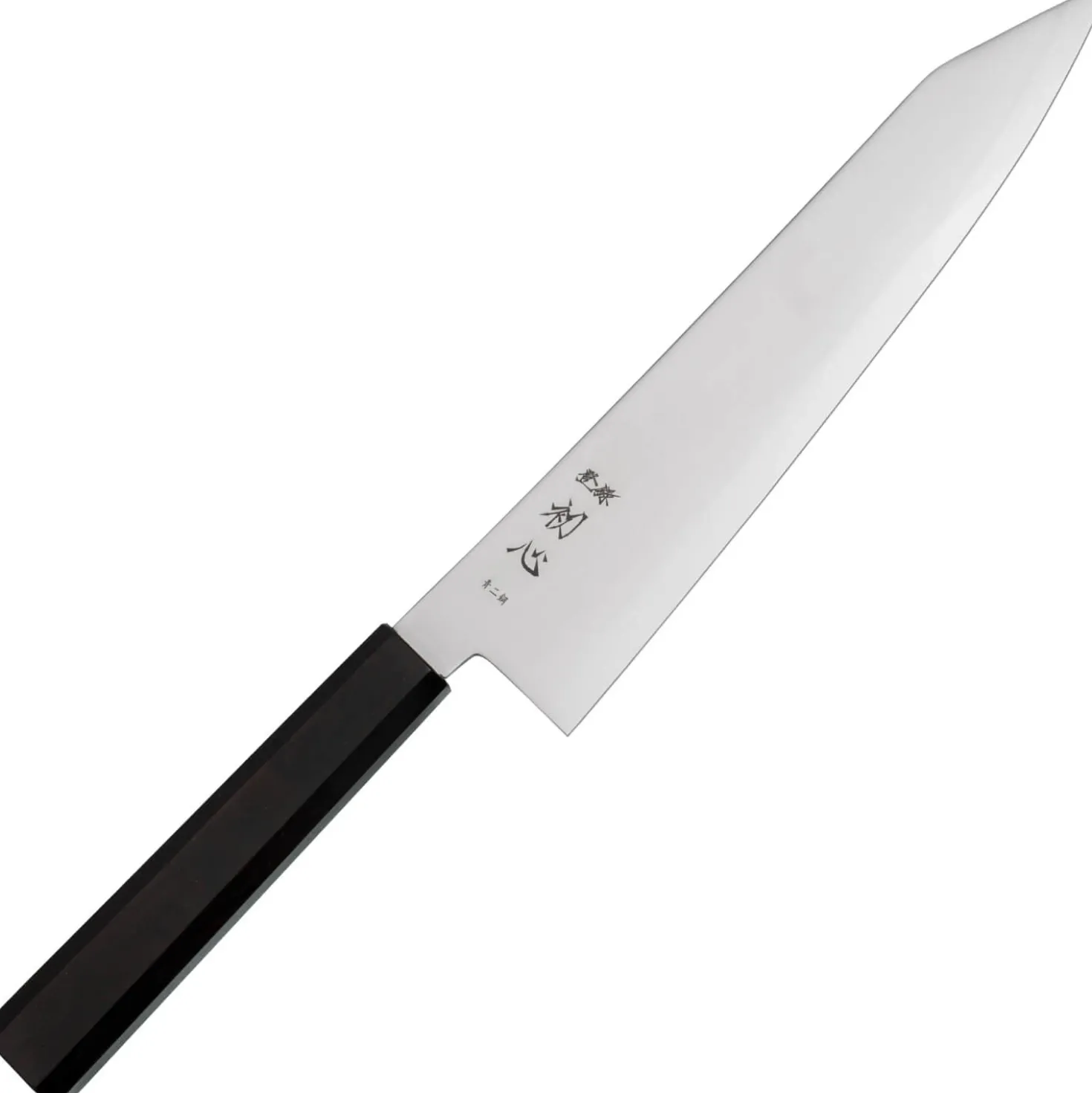 Hatsukokoro Kaijin Aogami #2 Kiritsuke 21 cm
