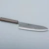 Hatsukokoro Kokugei Aogami Gyuto 21 cm